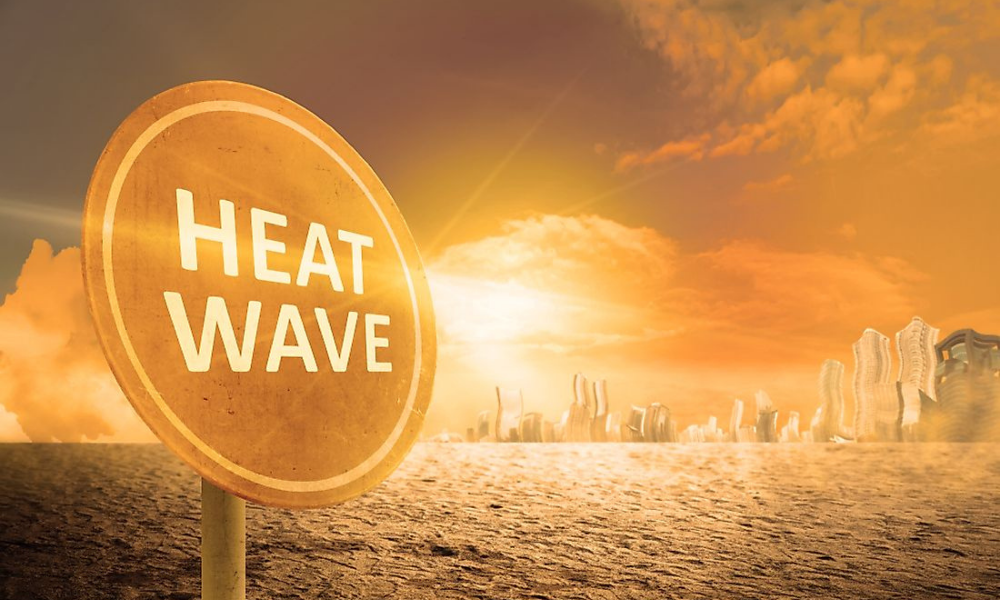 ayurvedic herbs for summer